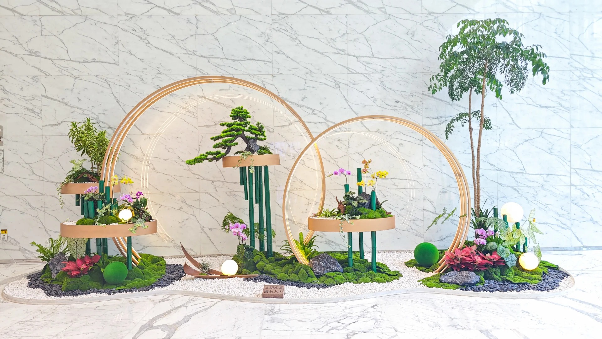 余姚植物租摆哪家出色？全方位对比，一目了然